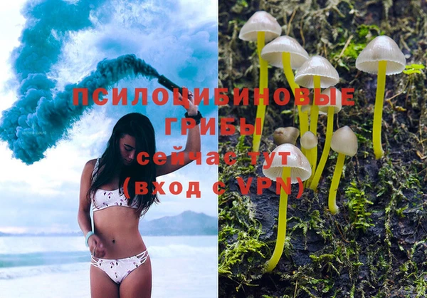 MESCALINE Зерноград
