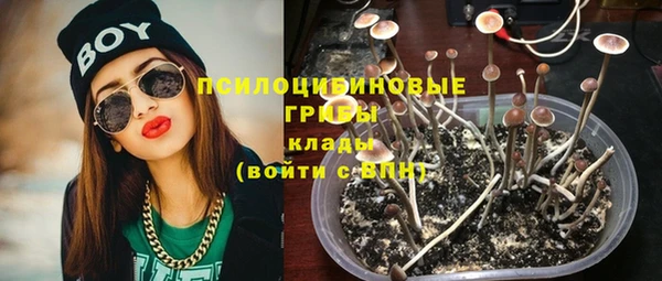 скорость Заводоуковск