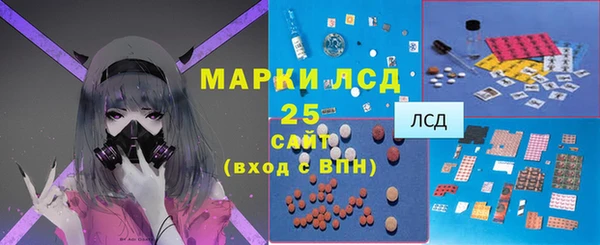ГАЛЛЮЦИНОГЕННЫЕ ГРИБЫ Зеленодольск