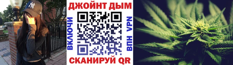 Купить Кудрово Марихуана сатива